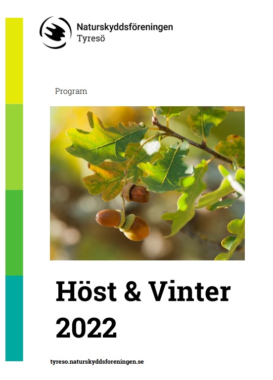 Program höst & vinter 2022