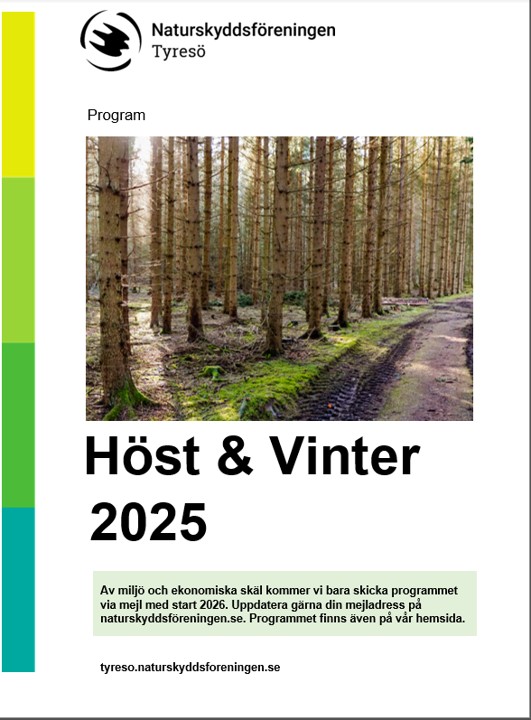 Program med 8 sidor
