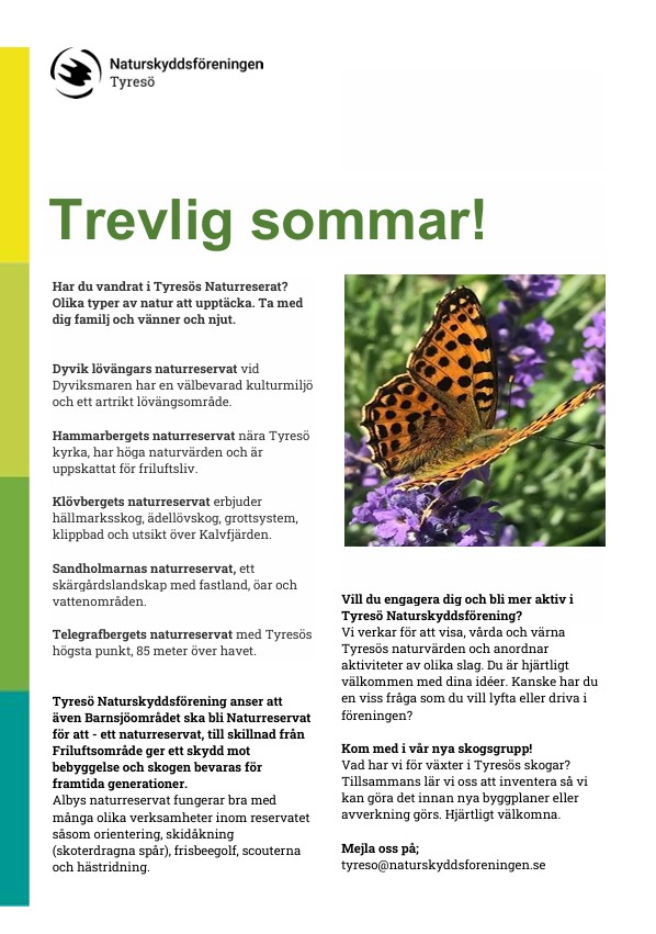 Trevlig sommar